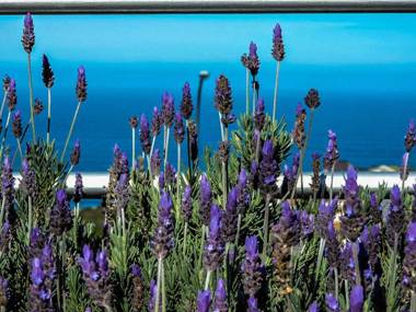 Amzee Bokmakierie Guest House