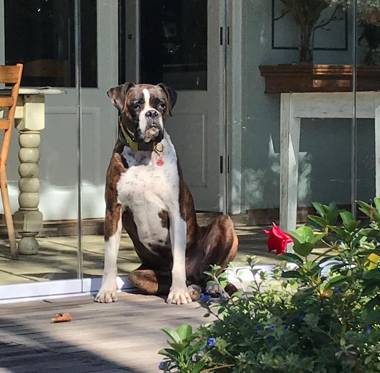 Hedge House Guest House