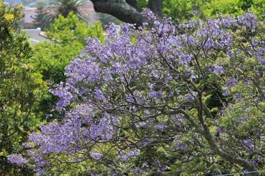 De Tafelberg Guesthouse