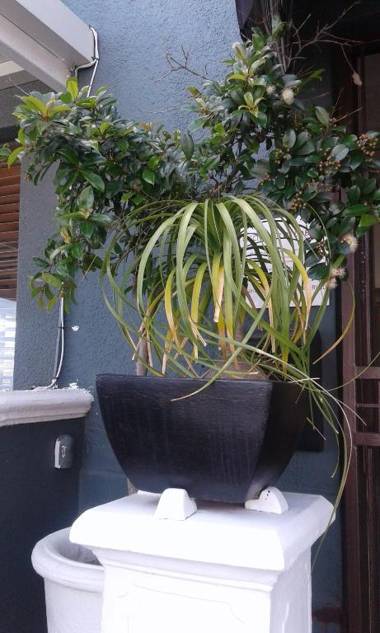 Leeuwenzee Guesthouse