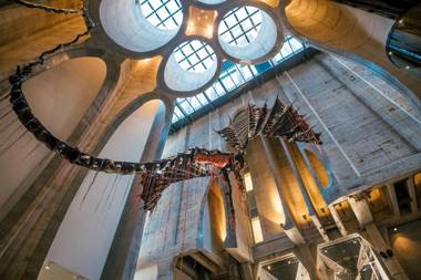 Cartwrights Studio 1008