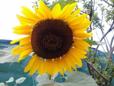 Lighthouse Farm Backpackers Lodge