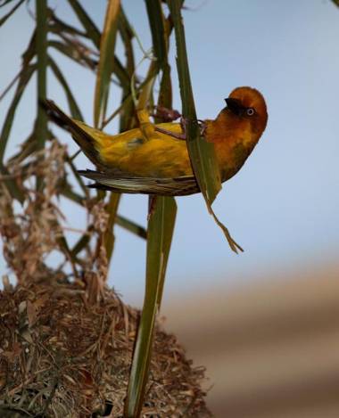 Cinnamon House Bed & Breakfast