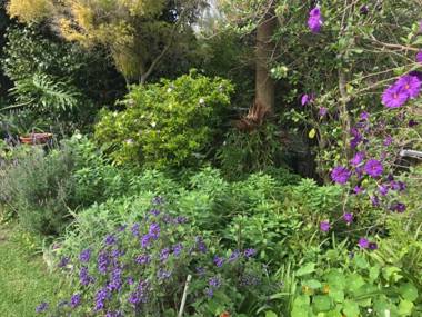 Valley Heights Guest House and B & B