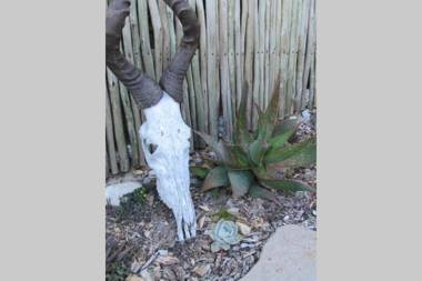 Kommetjie Beach House