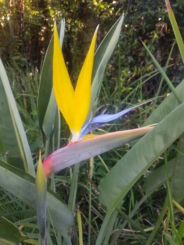 Schuilhoek Garden Terraces