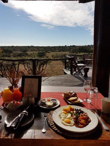 Bush Lodge – Amakhala Game Reserve
