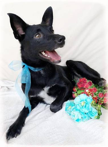 @The Villa Guest House