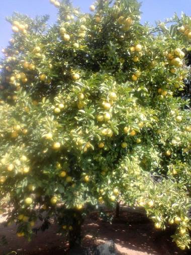 Heila's in house Family room-Homestay!