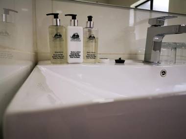 Green Olive Panorama