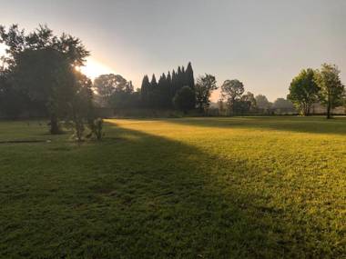 TreeTopia Guesthouse