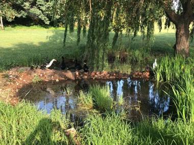 TreeTopia Guesthouse