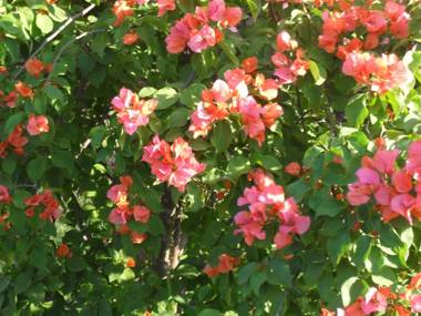 Zuider Zee Guest House