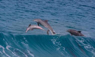 Belle Le Vie Guest House