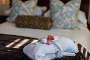 Luxury Beach Apartments