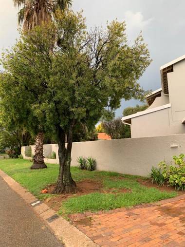 Brackendowns guest star