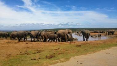 Chrislin African Lodge