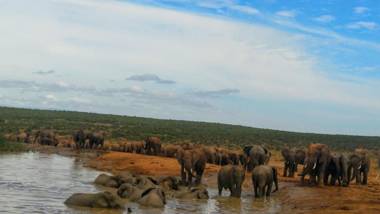 Chrislin African Lodge