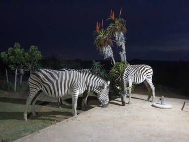 Kudu Ridge Game Ranch Guest House