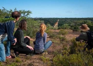 Stargazer Safari Camp - Bellevue Forest Reserve