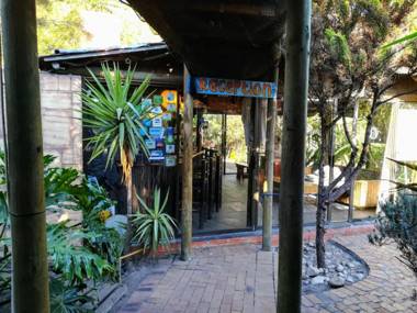 Saltycrax Backpackers and Surf Hostel