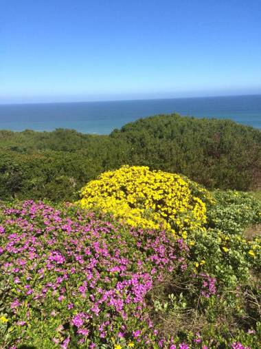 Farmhouse On The Rocks