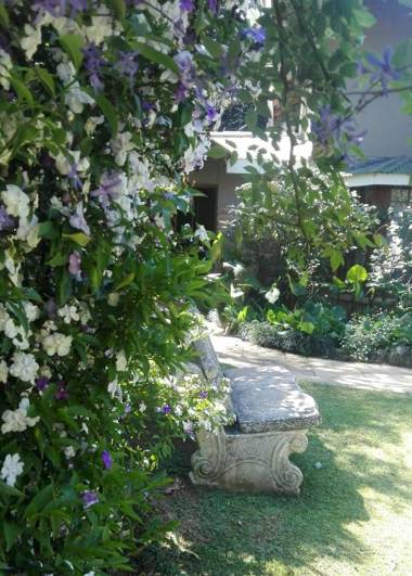 Country Lane Guesthouse