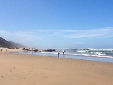 Sedgies on the Water