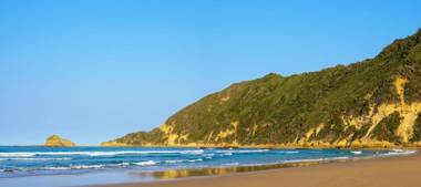 Simbavati Fynbos on Sea