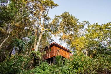 Mtunzini Forest Lodge Self Catering Resort