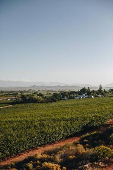 Leipzig Country House & Winery