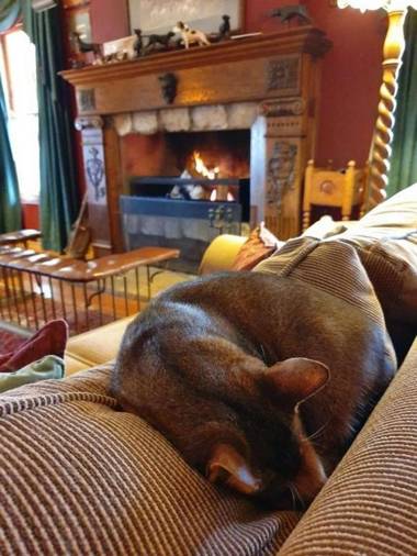 The FarSide Country Manor