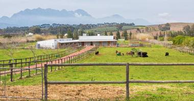 Galloway Guest House