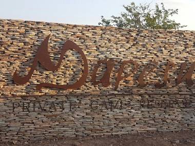 Mopane Bush Lodge