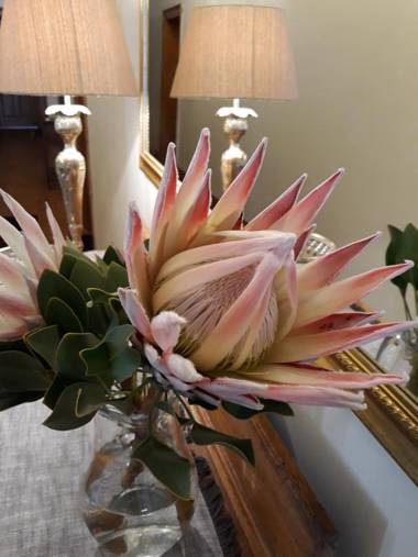 Monte Rosa Guesthouse