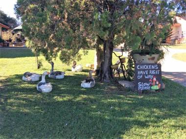 Petra's Country Guesthouse