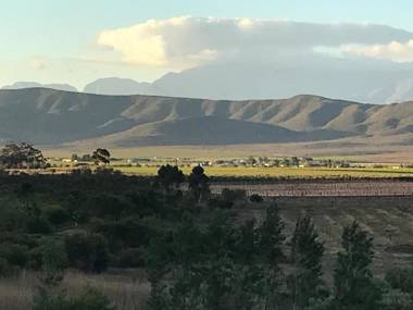 Olive Hill Guest House