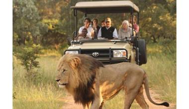 Honeyguide Ranger Camp