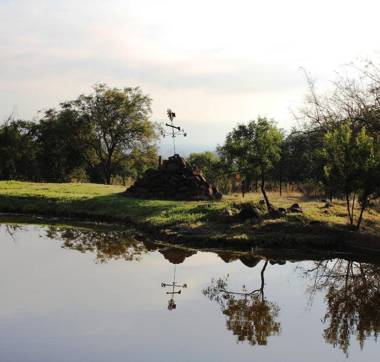 Karee & Wild Olive Guest Lodge