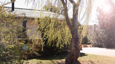 Klondyke Cherry Farm