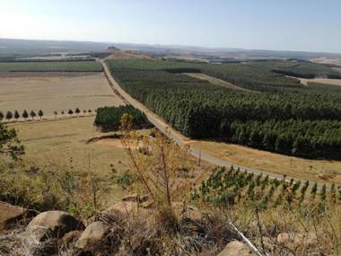 Forest Hill Country Lodge