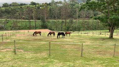 Cavalo Guesthouse & Equestrian Estate