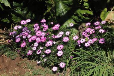 Kareekloof Game Farm