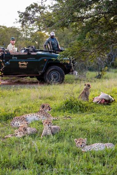 Shindzela Tented Camp