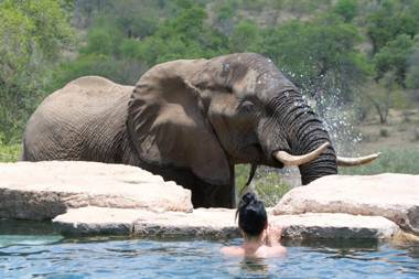 Makumu Private Game Lodge