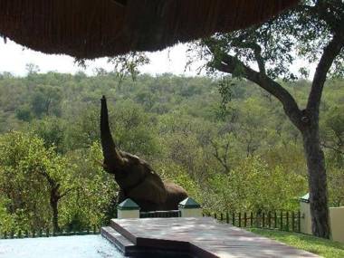 Muweti Bush Lodge