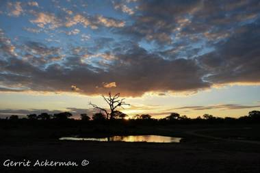 Elephant Plains Game Lodge