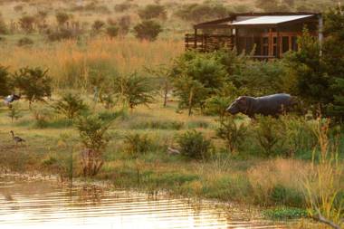 Cheetah Ridge Lodge