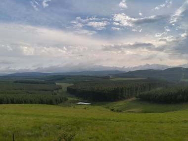 Curry's Post Bed & Breakfast