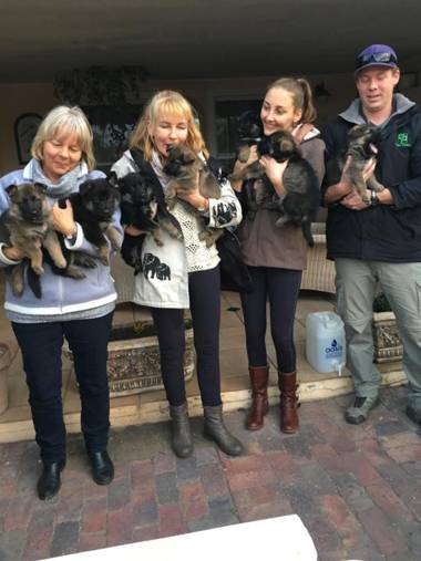 T'Niqua Stables & Lodge